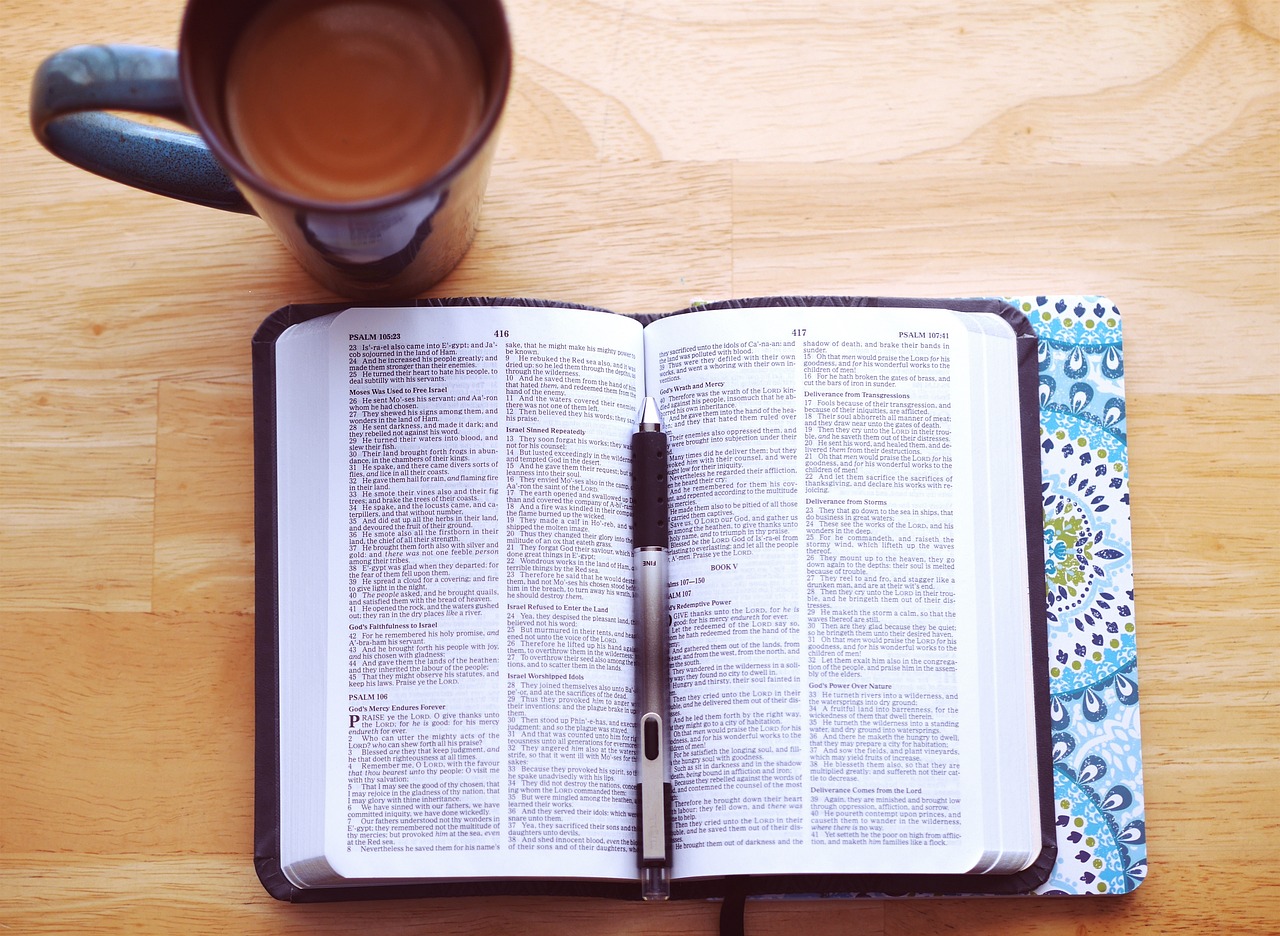 The Mid-Year Reset: A Gentle Check-In Instead of a Panic