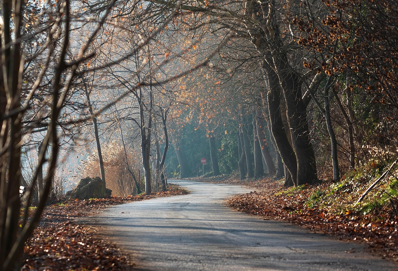 What a Career Pivot Taught Me About Patience